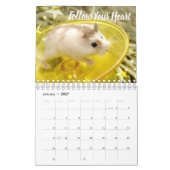 Hammyville - Licht-Sterne Kalender (Jan 2027)