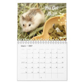 Hammyville - Licht-Sterne Kalender (Mär 2027)