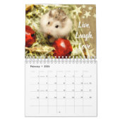 Hammyville - Licht-Sterne Kalender (Feb 2026)