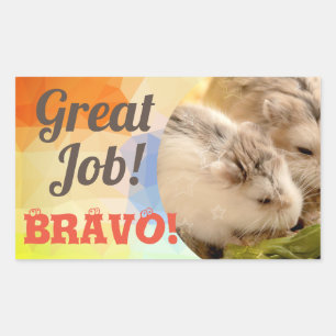 HammyVille - Niedlich Hamster Great Job Bravo Rechteckiger Aufkleber