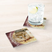 Hammyville - Niedlich Robo Hamster Glasuntersetzer (Schrägansicht)