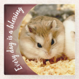 Hammyville - Niedlich Robo Hamster Glasuntersetzer