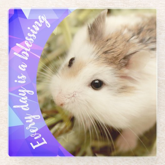 Hammyville - Niedlich Robo Hamster Glasuntersetzer (Vorderseite)