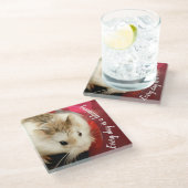 Hammyville - Niedlich Robo Hamster Glasuntersetzer (Schrägansicht)