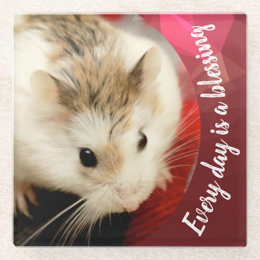 Hammyville - Niedlich Robo Hamster Glasuntersetzer (Vorderseite)