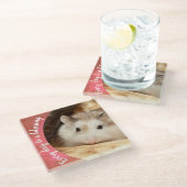 Hammyville - Niedlich Robo Hamster Glasuntersetzer (Schrägansicht)