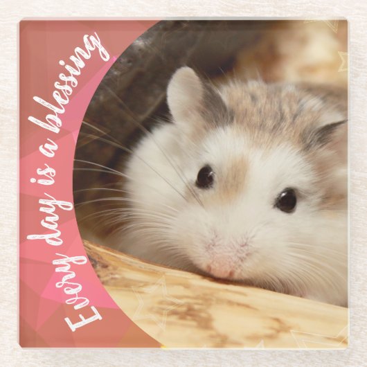 Hammyville - Niedlich Robo Hamster Glasuntersetzer (Vorderseite)