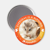 Hammyville - Niedlich Robo Hamster Magnet (Vorderseite/Rückseite)