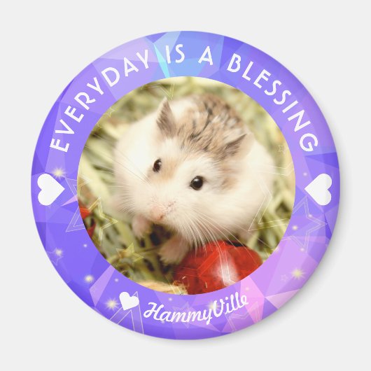 Hammyville - Niedlich Robo Hamster Magnet (Vorne)