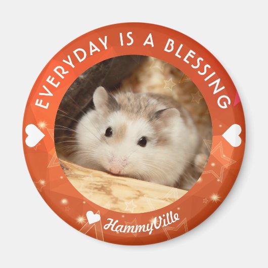 Hammyville - Niedlich Robo Hamster Magnet (Vorne)