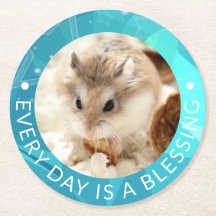 Hammyville - Niedlich Robo Hamster