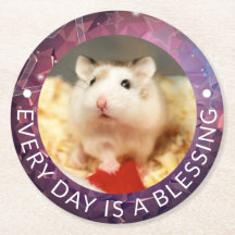 Hammyville - Niedlich Robo Hamster