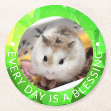 Hammyville - Niedlich Robo Hamster