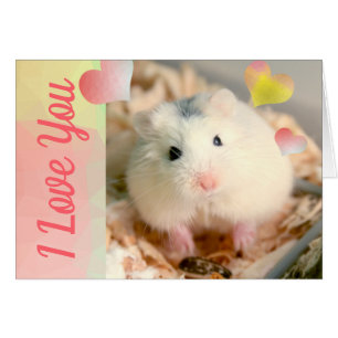 HammyVille - Niedlich Robo Hamster Valentine