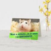 Hammyville - Niedliche Hamster Happy Birthday Card Karte (Gelbe Blume)