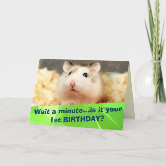 Hammyville - Niedliche Hamster Happy Birthday Card Karte (Vorderseite)