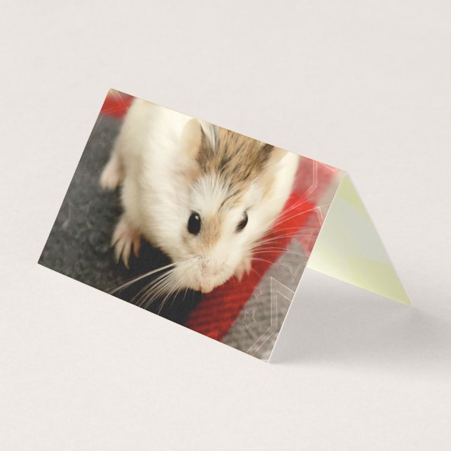 Hammyville - Niedlicher Hamster (Vorderseite)