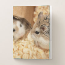 Hammyville - Niedlicher Hamster