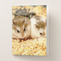 Hammyville - Niedlicher Hamster
