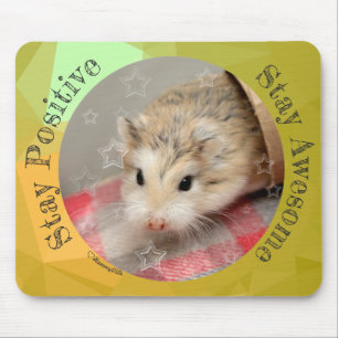 HammyVille - Niedlicher Hamster Bleibe Phantastisc Mousepad