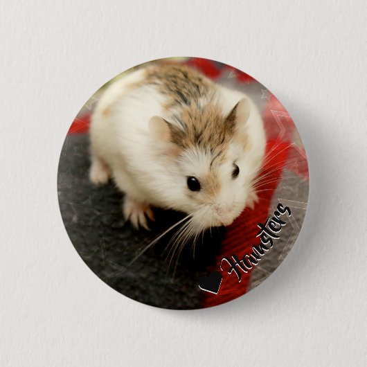 Hammyville - Niedlicher Hamster Button (Vorderseite)