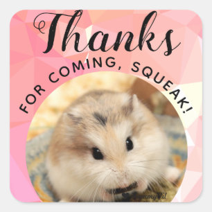 HammyVille - Niedlicher Hamster Danke für das Komm Quadratischer Aufkleber