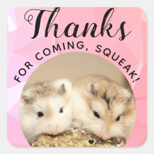 HammyVille - Niedlicher Hamster Danke für das Komm Quadratischer Aufkleber