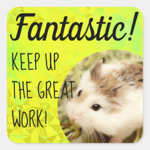 HammyVille - Niedlicher Hamster Fantastische Arbei Quadratischer Aufkleber