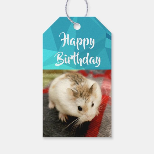 Hammyville - Niedlicher Hamster Geschenkanhänger (Vorderseite)
