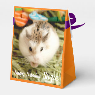 Hammyville - Niedlicher Hamster Geschenkschachtel