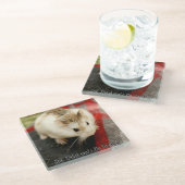 Hammyville - Niedlicher Hamster Glasuntersetzer (Schrägansicht)