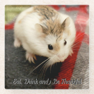 Hammyville - Niedlicher Hamster Glasuntersetzer