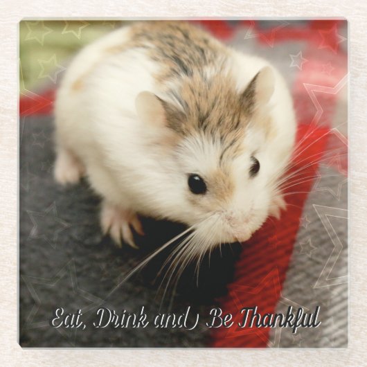 Hammyville - Niedlicher Hamster Glasuntersetzer (Vorderseite)