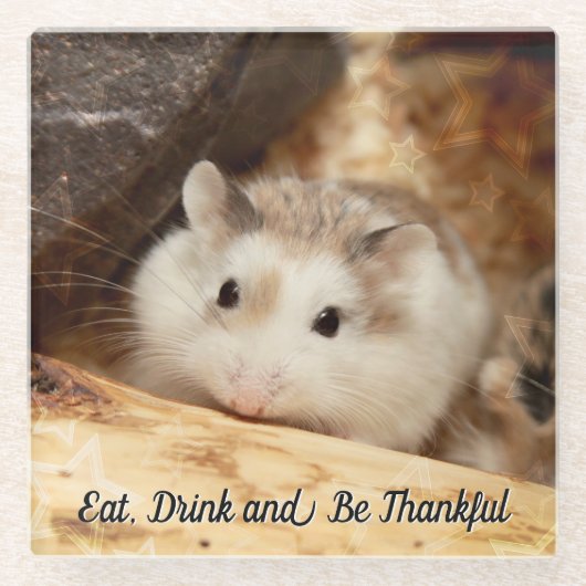 Hammyville - Niedlicher Hamster Glasuntersetzer (Vorderseite)