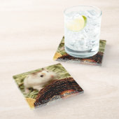Hammyville - Niedlicher Hamster Glasuntersetzer (Schrägansicht)