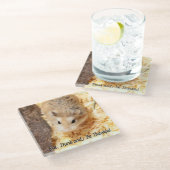 Hammyville - Niedlicher Hamster Glasuntersetzer (Schrägansicht)