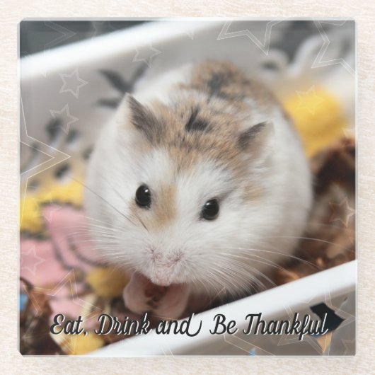 Hammyville - Niedlicher Hamster Glasuntersetzer (Vorderseite)