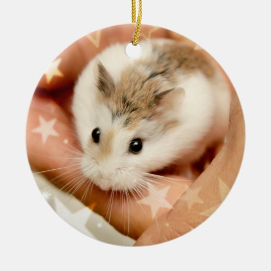 Hammyville - Niedlicher Hamster Keramikornament (Vorne)