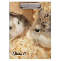 Hammyville - Niedlicher Hamster