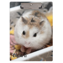 Hammyville - Niedlicher Hamster