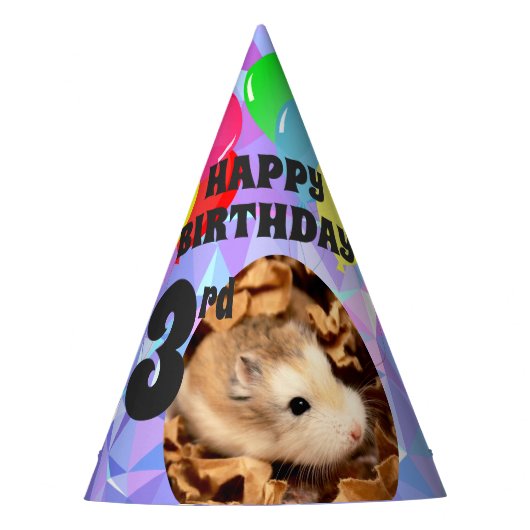 Hammyville - Niedlicher Hamster Lila Gemische Partyhütchen (Vorderseite)