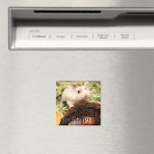 Hammyville - Niedlicher Hamster Magnet (In Situ (Geschirrspüler))