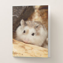 Hammyville - Niedlicher Hamster