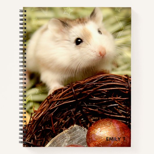 Hammyville - Niedlicher Hamster Notizbuch (Vorderseite)