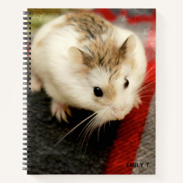 Hammyville - Niedlicher Hamster Notizbuch