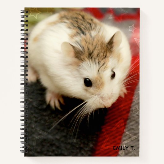 Hammyville - Niedlicher Hamster Notizbuch (Vorderseite)