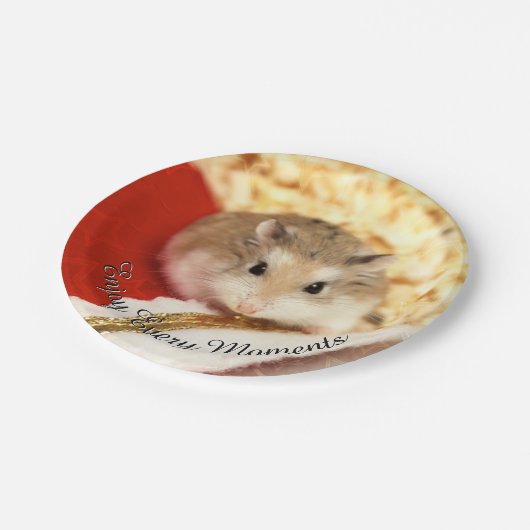Hammyville - Niedlicher Hamster Pappteller (Schrägansicht)