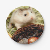 Hammyville - Niedlicher Hamster Pappteller (Vorderseite)
