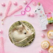 Hammyville - Niedlicher Hamster Pappteller (Party)