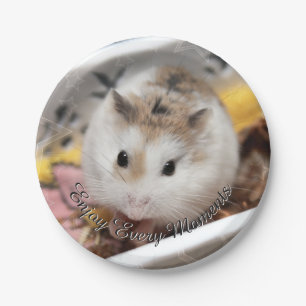 Hammyville - Niedlicher Hamster Pappteller